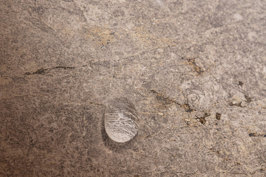 Drop of glue on ceramic